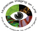 2021 - Multiscale imaging of life