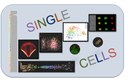 2017 - single-cell day of the SFR biosciences