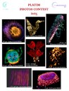 Concours photo PLATIM 2025
