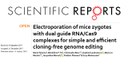 A new protocol for efficient mouse genome editing
