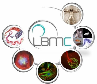 LBMC 2   copie