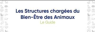 Capture guide SBEA 