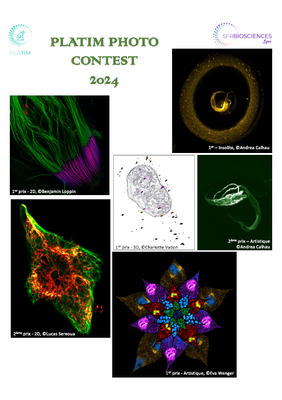 Concours photos 2024 PLATIM