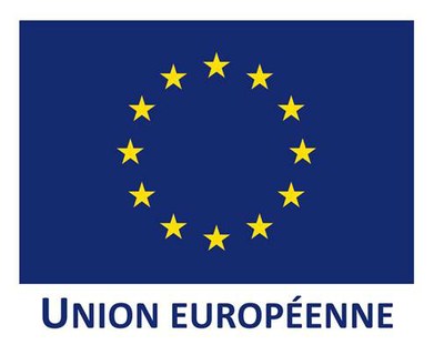 Logo UE web