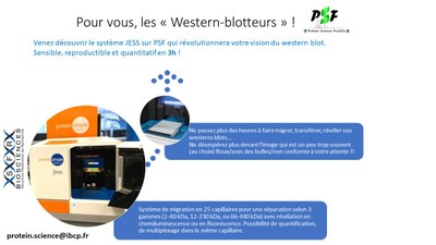 westernblotter