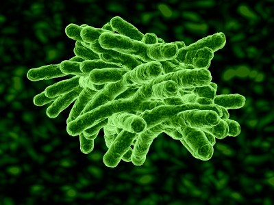 page 78 bacterie Viro