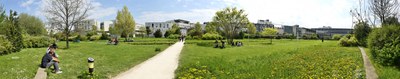 pano4 50cm
