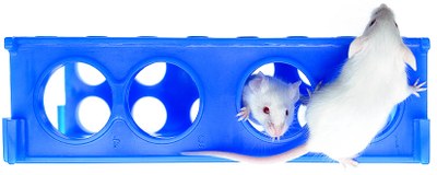 Souris bandeau 2 Bloc bleu 