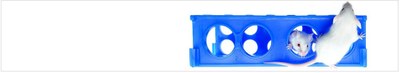 Souris bandeau opti2