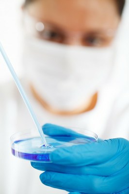 biology 220005 640
