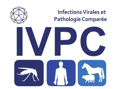 LOGO IVPCcomplet2