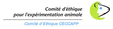 logo Ceccapp 1