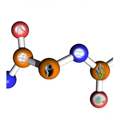 flyer55