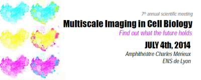 lead multiscale