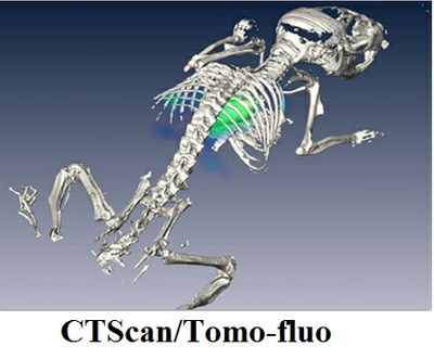 CTScanTomoFluo