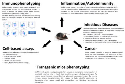 immos immuno