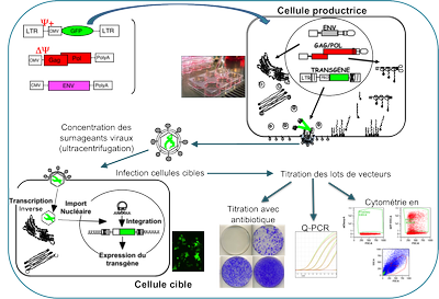 Fig1 100714