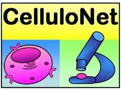 logo cellulonet
