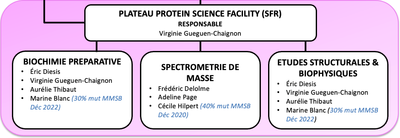 organigramme PSF 2024