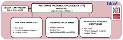 Organigramme PSF web