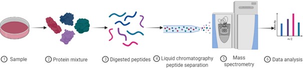 Analyse protéomique par spectrométrie de masse — SFR BioSciences  (UAR3444/US8)