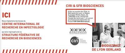 ciri et sfr