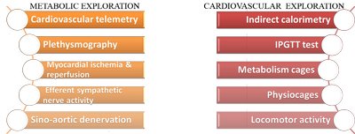 CARDIOfig