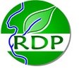 rdp