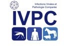 LOGOS IVPC